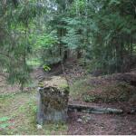 Puszcza Rudnicka - ruiny lesniczówki Sędków (Sendków)