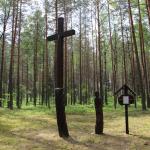 Puszcza Rudnicka -Kościelna Góra