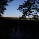 Tajemnicze jezioro Kiernowskie